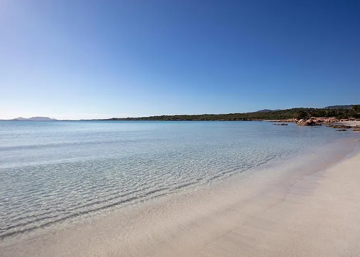 Отель Park Porto Istana