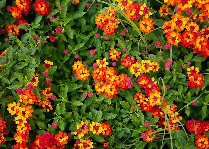 Ξενοδοχείο Park Porto Istana 4*